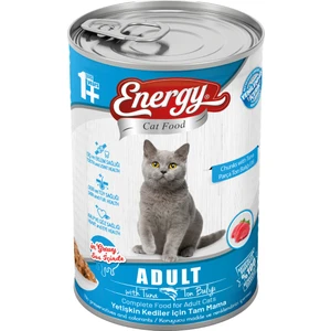 Ton Balıklı Yetişkin Kedi MAMASI-400 Gram-12 Konserve