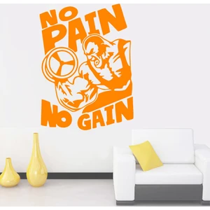 Melek Pazarı No Pain No Gain Fitness, Spor Salonu Duvar Sticker
