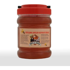 Güzelçamlı Arıcılar Kooperatifi Yayla Balı 1000 gr