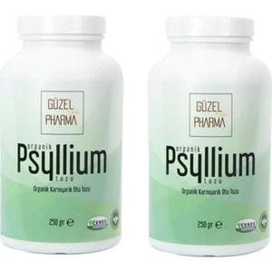 Güzel Ada Gıda Psyllium Karnıyarık Otu Tozu 250 gr x 2'li