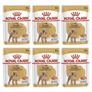 Royal Canin Adult Poodle Caniche Tüy Sagligi Destekleyici Yetiskin Köpek Konservesi 85GR 6 Adet
