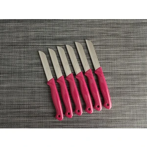 Meyve Bıçağı 6'lı Simli Pembe