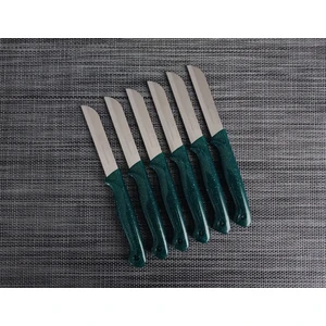 Meyve Bıçağı 6'lı Simli Yeşil