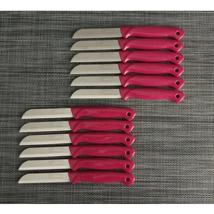 Meyve Bıçağı 12'li Simli Pembe