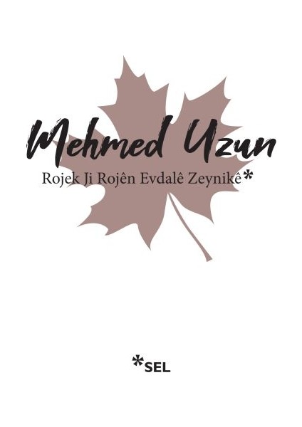 Rojek Ji Rojen Evdale Zeynike - Mehmed Uzun