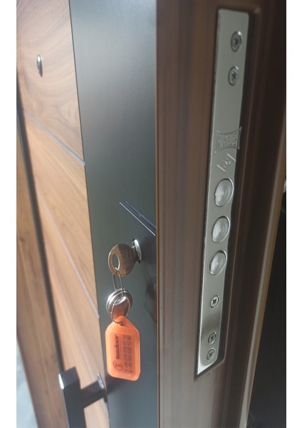 Ahşap Kaplama Kasa Düz Model Daire Kapısı, Çelik Kapı, Villa Kapısı fiyatları