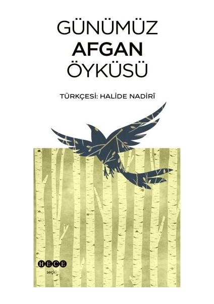 Günümüz Afgan Öyküsü