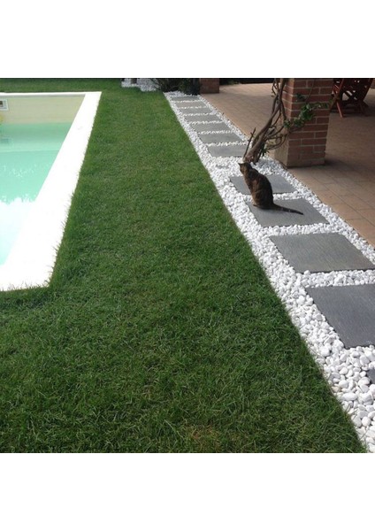 Plastik Çim Sınırlayıcı Düz Yapıda 25 mt Yeşil indirimleri