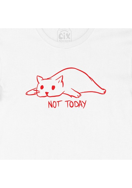 Not Today Kedicik Tişört fiyatları