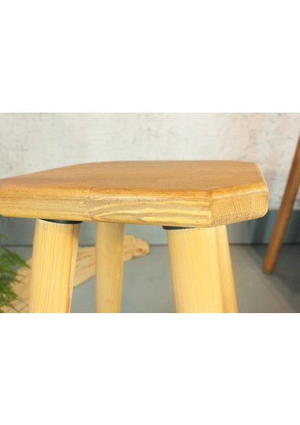 Agapanthus Tabure Tik Rengi fiyatları