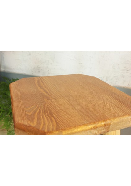 Agapanthus Tabure Tik Rengi modelleri