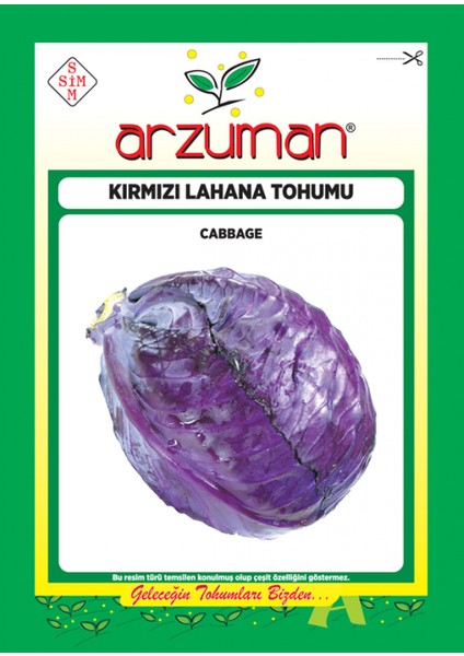 Kırmızı-Mor Lahana Tohumu 10 gr Ort 2000 Ad Tohum