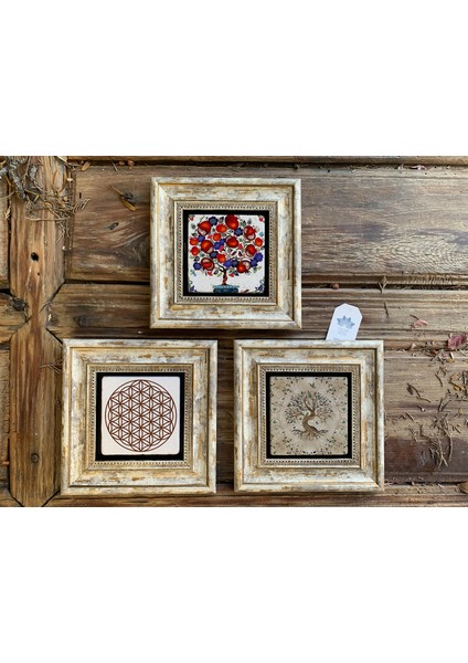 Decor Çerçeveli Taş Duvar Dekoru 20 x 20 cm 3 Lü Set Yaşam Çiçeği Totus Sri Yantra