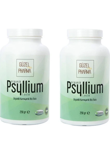 Güzel Ada Gıda Psyllium Karnıyarık Otu Tozu 250 gr x 2'li