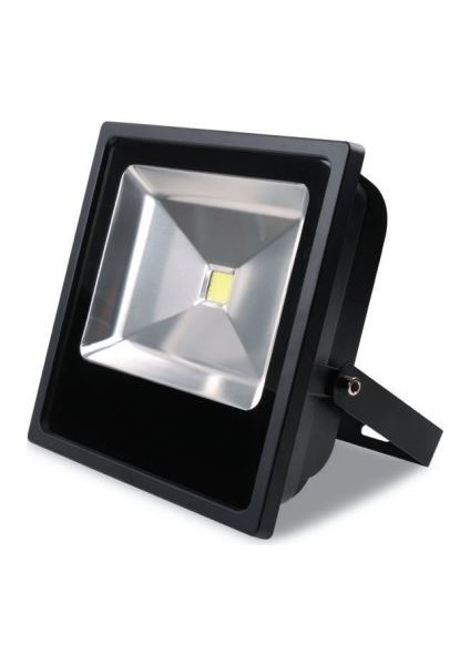 30W 3000K 2700LM LED Projektör