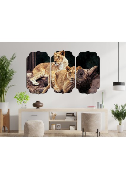 Aslan Mdf Tablo 2359