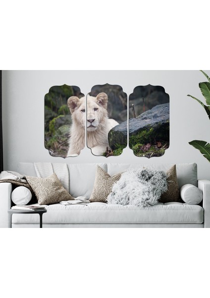 Aslan Mdf Tablo 2368 modelleri