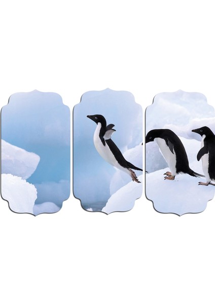 Penguen Mdf Tablo 1856 (Model D)