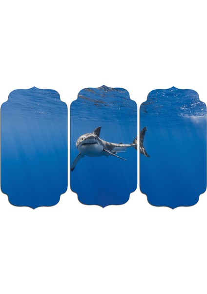 Köpek Balığı Mdf Tablo 1876 (Model D)