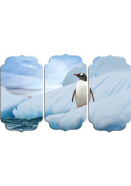 Penguen Mdf Tablo 1857 (Model D)
