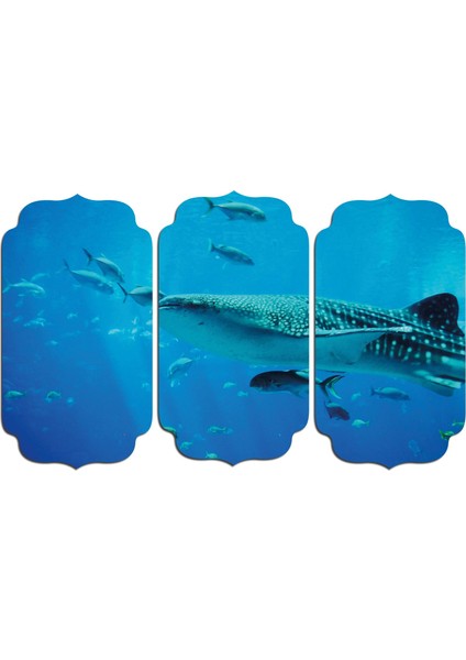 Köpek Balığı Mdf Tablo 1872 (Model D)