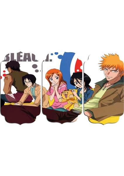 Bleach Mdf Tablo 0311 (Model D)