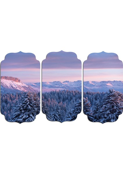 Kar Kış Ağaçlık Orman Mdf Tablo 0666 (Model D)