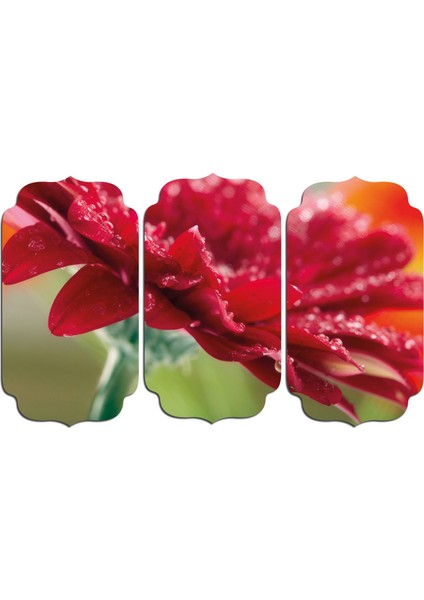 Kırmızı Çiçek Mdf Tablo 0741 (Model D)