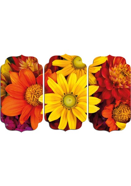 Sarı Kırmızı Çiçekler Mdf Tablo 0739 (Model D)