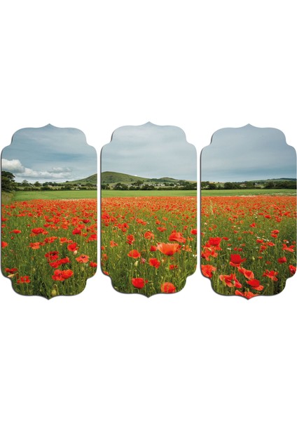 Gelincik Çiçeği Mdf Tablo 0806 (Model D)