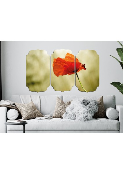 Gelincik Çiçeği Mdf Tablo 0815 (Model D) modelleri