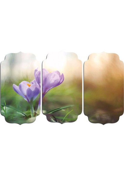 Lale Mdf Tablo 0852 (Model D)