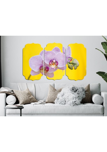 Orkide Mdf Tablo 0842 (Model D)