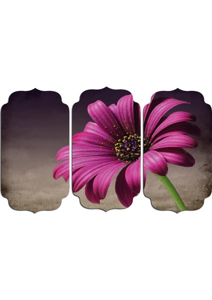 Mor Papatya Mdf Tablo 0830 (Model D)
