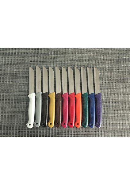 Meyve Bıçağı 10'lu Simli Kırmızı modelleri