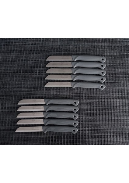 Meyve Bıçağı 10'lu Simli Gri