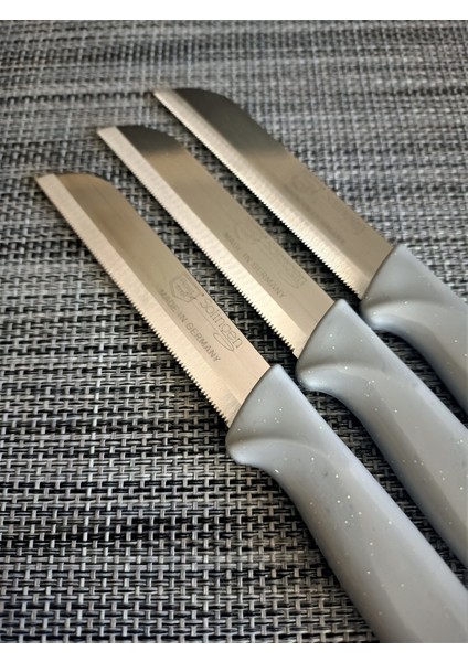 Meyve Bıçağı 10'lu Simli Gri fiyatları