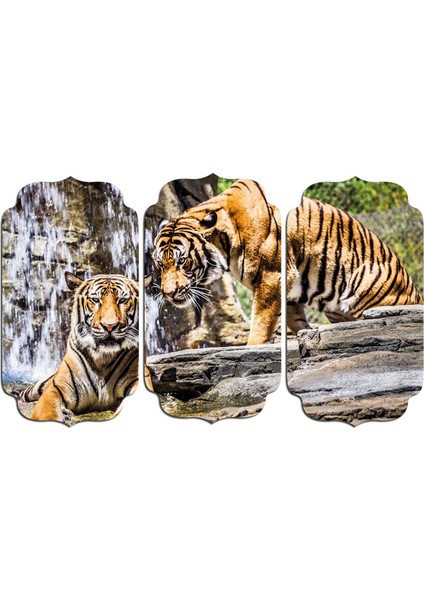 Kaplan Mdf Tablo 2487 (Model D)