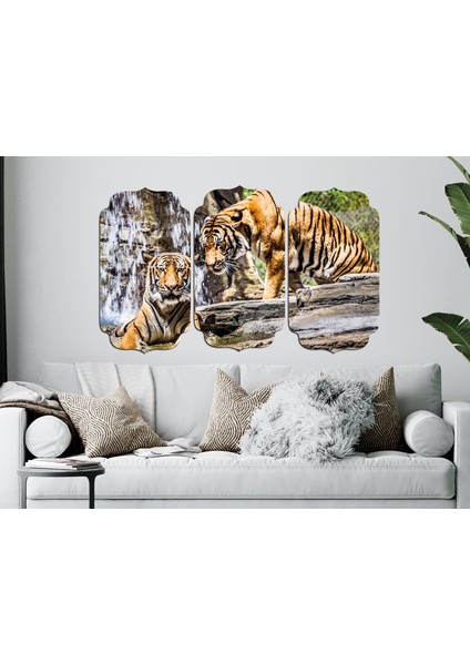 Kaplan Mdf Tablo 2487 (Model D) modelleri