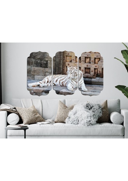 Beyaz Kaplan Mdf Tablo 2496 (Model D) modelleri