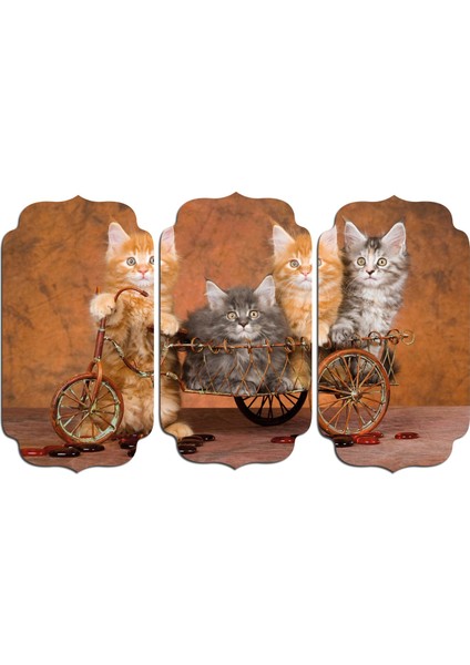 Kedi Mdf Tablo 2521 (Model D)