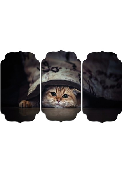 Kedi Mdf Tablo 2526 (Model D)