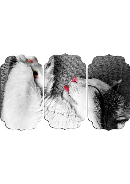 Kedi Mdf Tablo 2552 (Model D)