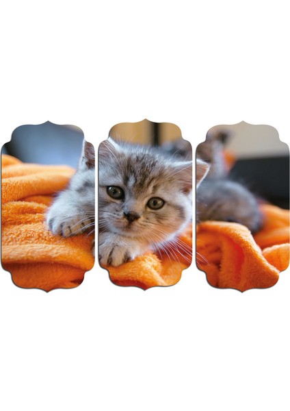 Kedi Mdf Tablo 2557 (Model D)