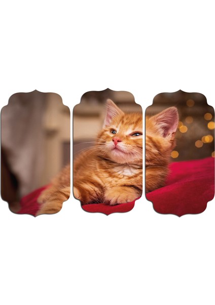 Kedi Mdf Tablo 2518 (Model D)