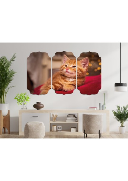 Kedi Mdf Tablo 2518 (Model D)