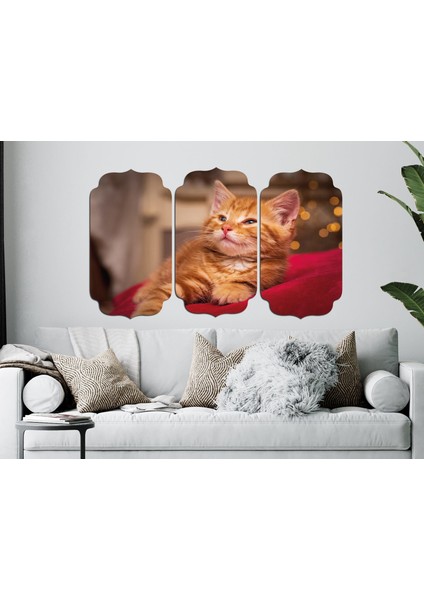 Kedi Mdf Tablo 2518 (Model D)