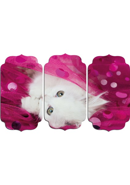 Kedi Mdf Tablo 2546 (Model D)