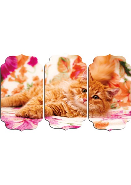 Kedi Mdf Tablo 2551 (Model D)