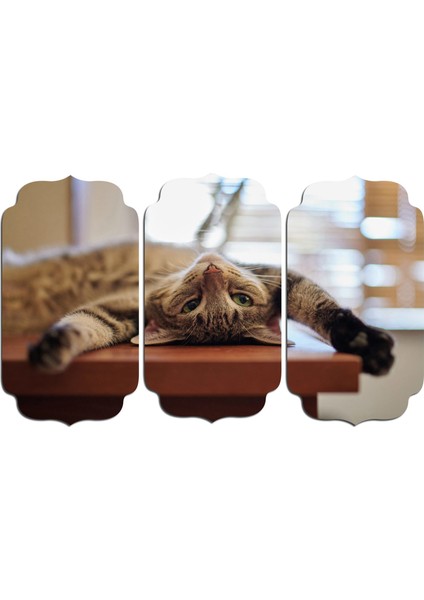 Kedi Mdf Tablo 2562 (Model D)